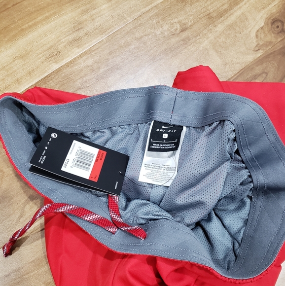 Nike Dri Fit Pants for women NWT Size L - Picture 4 of 4